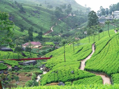 Thurings Holiday Bungalow - Sri Lanka
